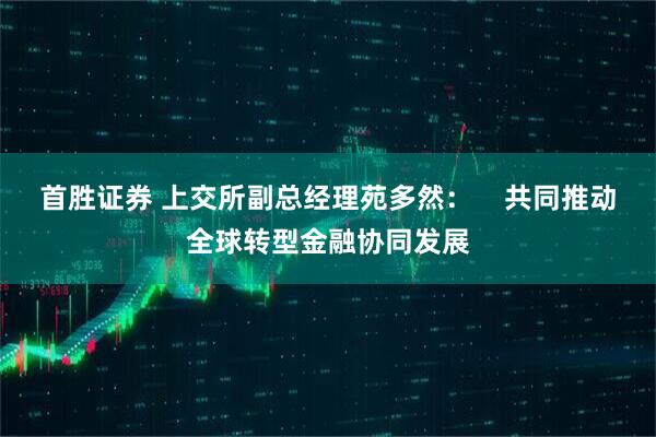首胜证券 上交所副总经理苑多然：    共同推动全球转型金融协同发展
