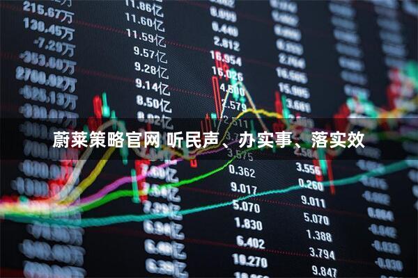 蔚莱策略官网 听民声、办实事、落实效